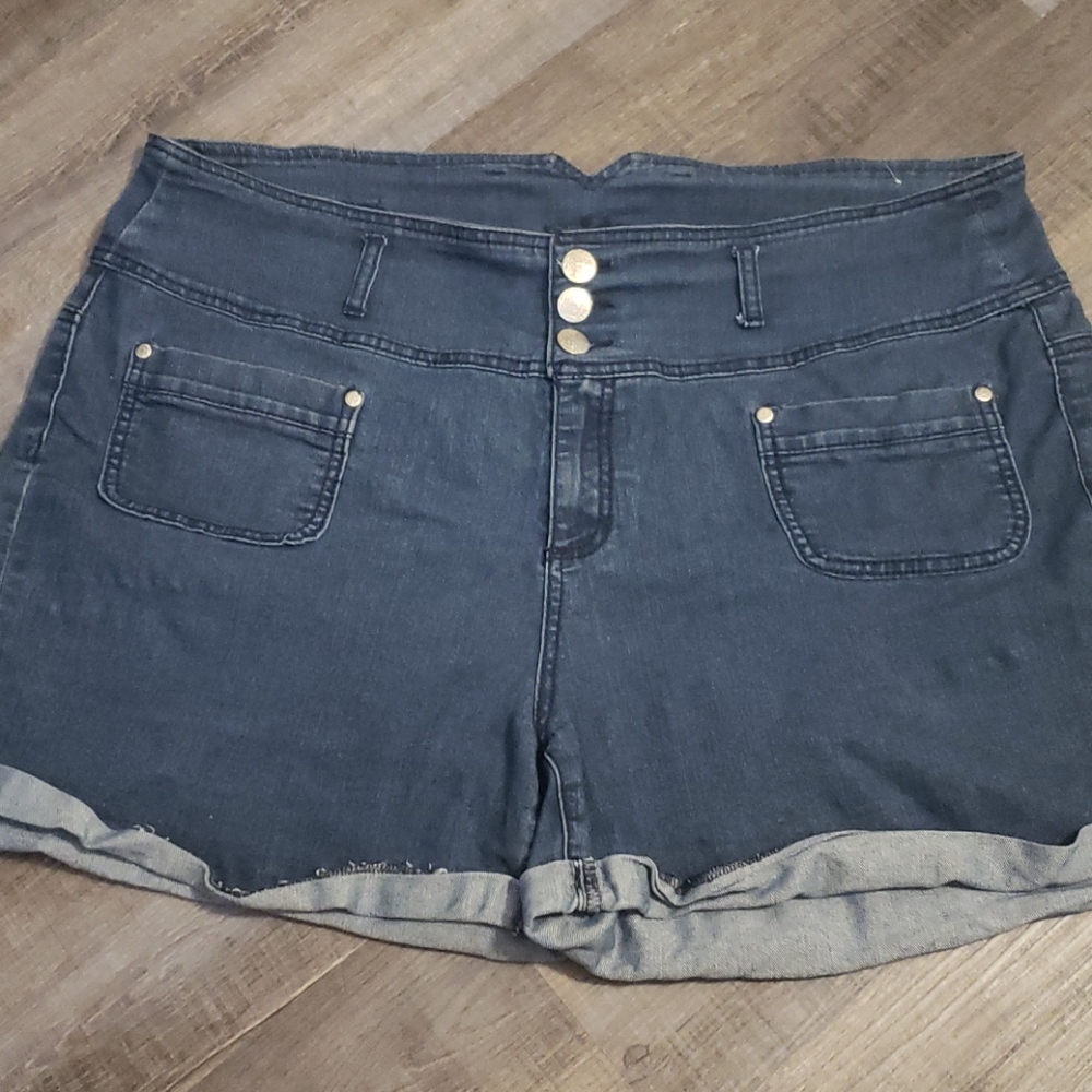 Reign Denim Shorts size 20. Loose fit.